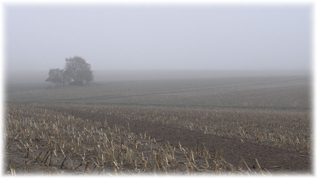 Click for full size image of Schadewohl Steingrab 3 (PID:51571) Schadewohl Steingrab 3