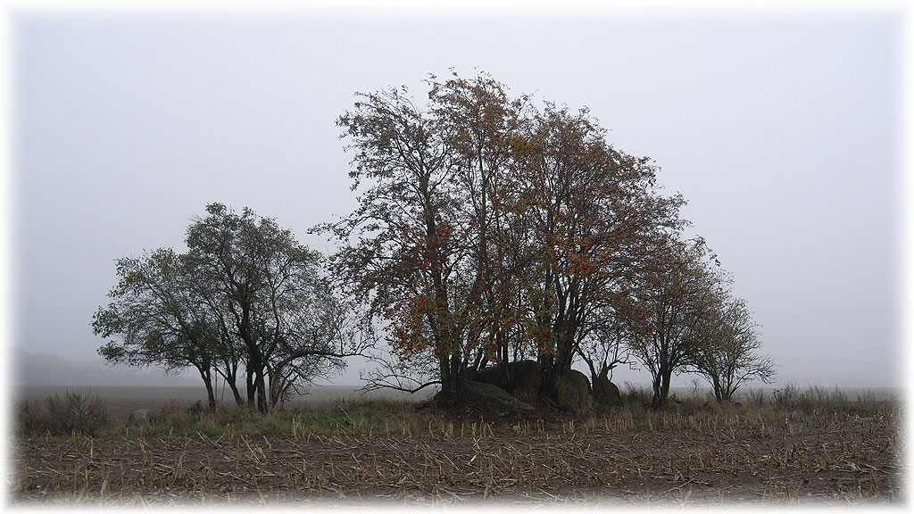 Click for the gallery page to add comments and vote (PID:51575) Schadewohl Steingrab 3