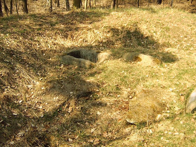Tonberg Steinkiste (2)
