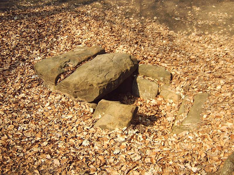 Tonberg Steinkiste (3)