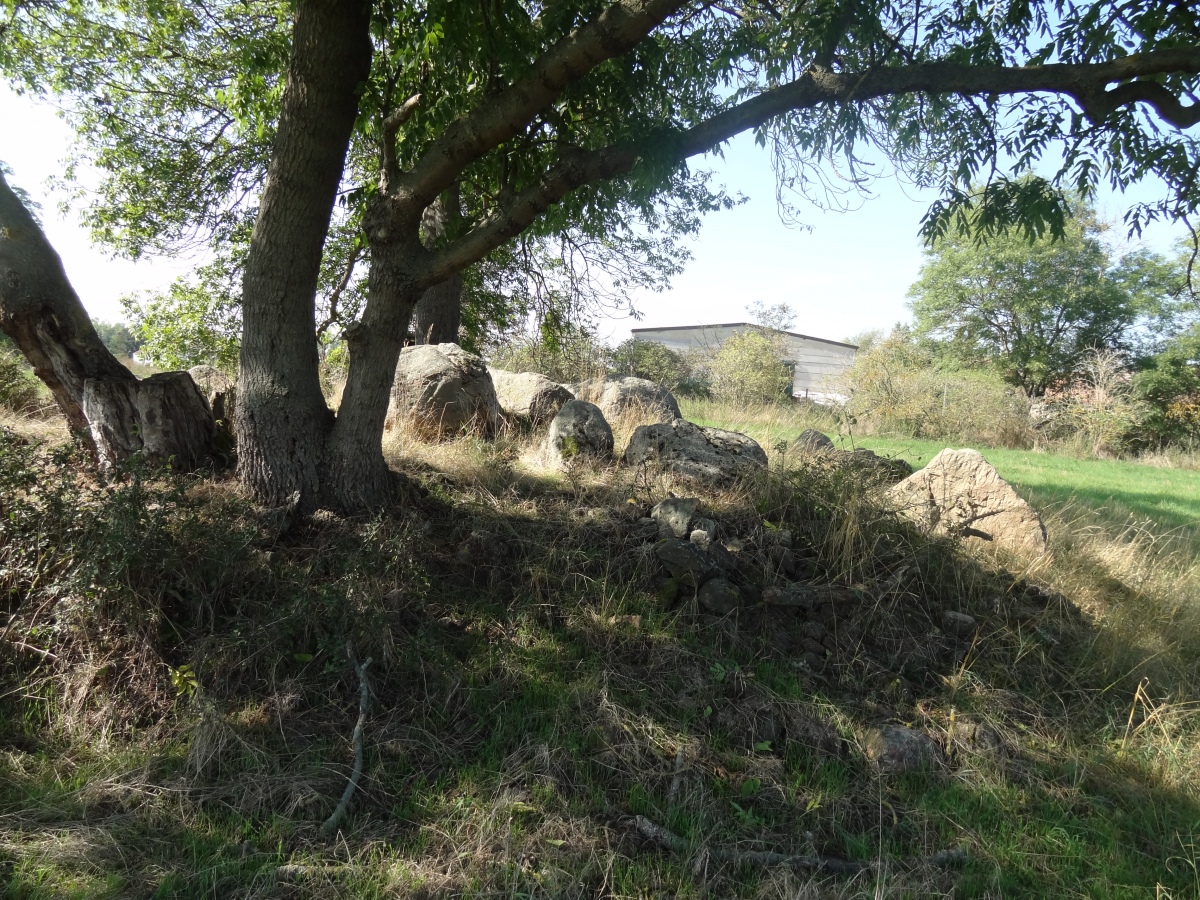 Click for the gallery page to add comments and vote (PID:225972) Hundisburg 15