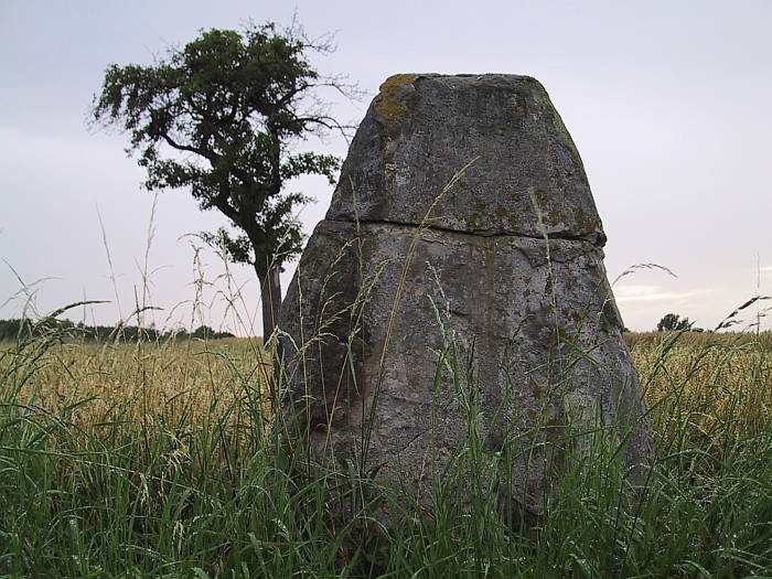 Brotstein