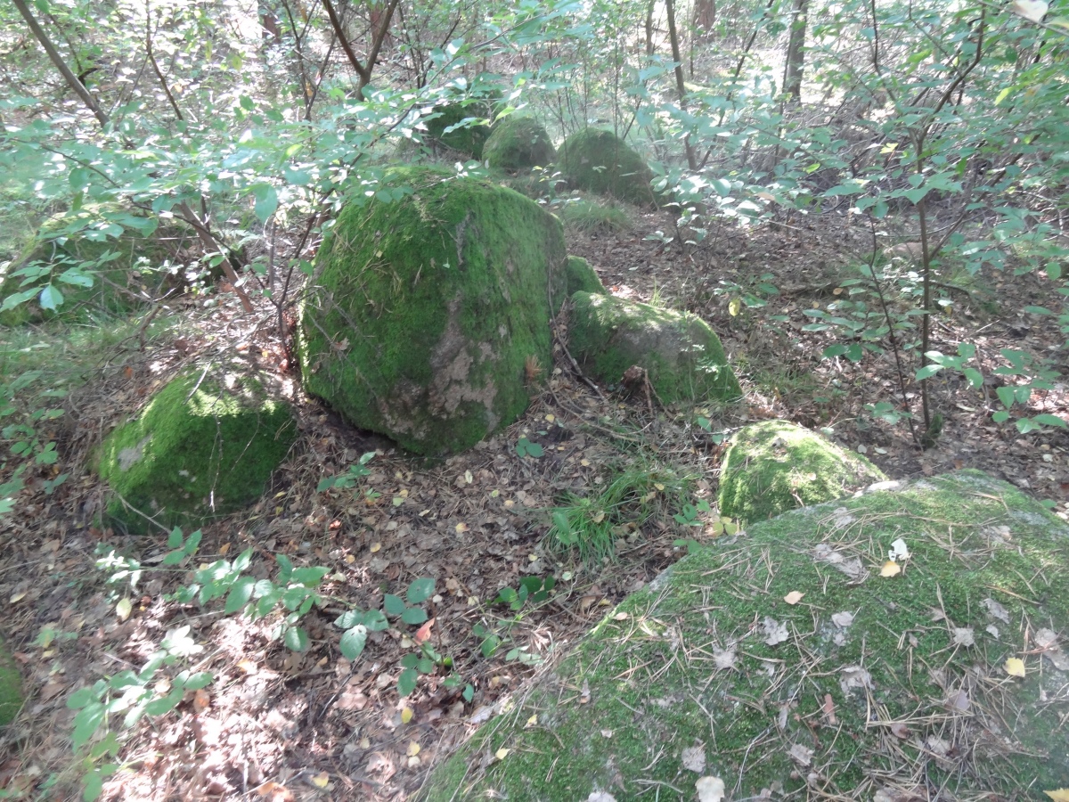 Althaldensleben 24
