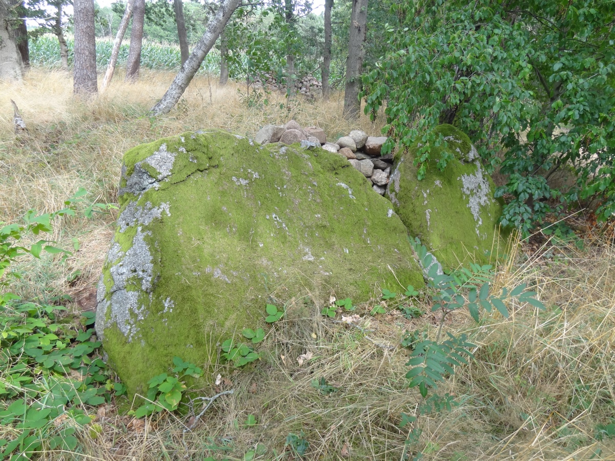 Beesewege Steingrab