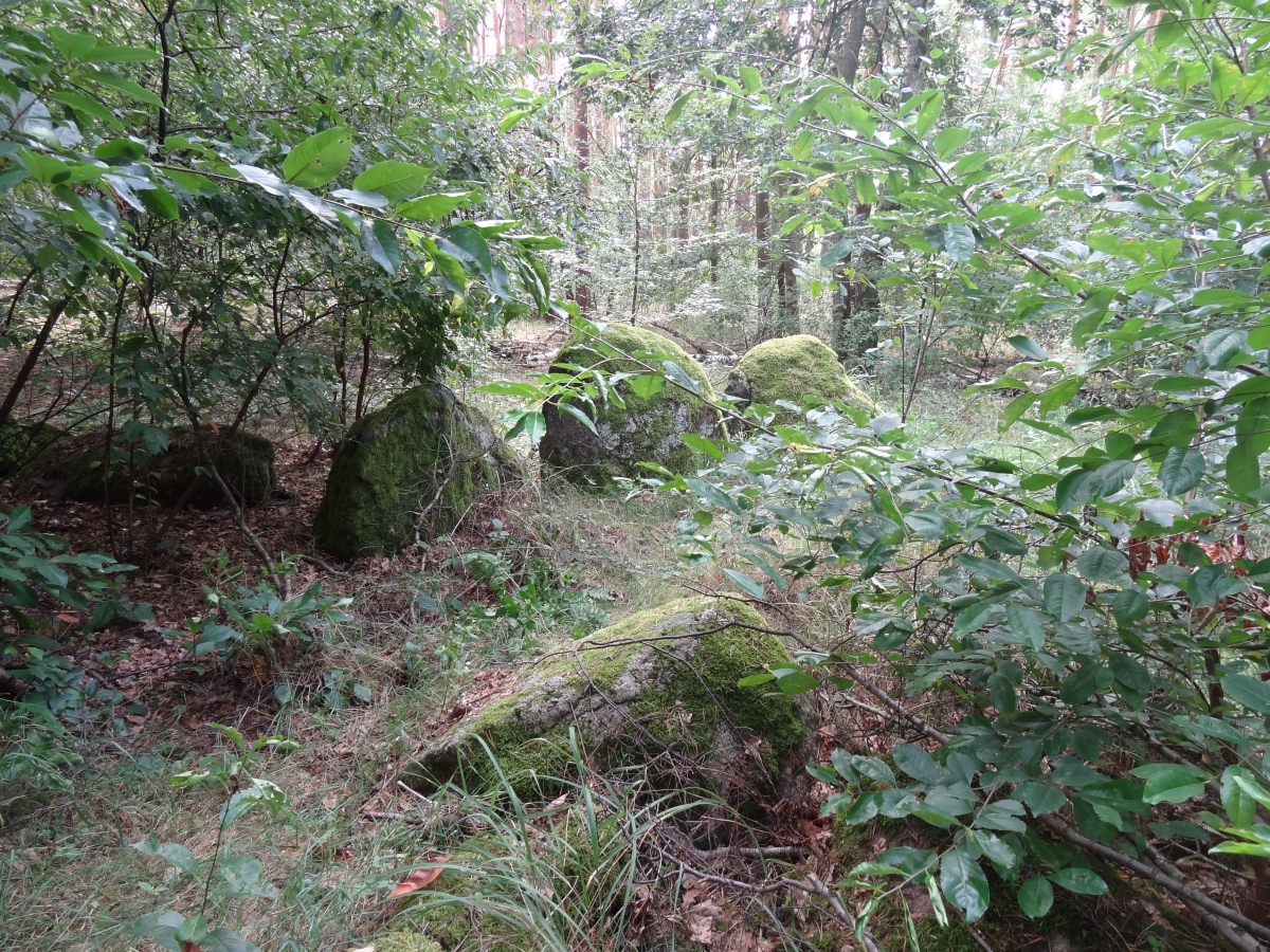 Althaldensleben 21
