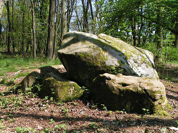 Click for the gallery page to add comments and vote (PID:22224) Luedelsen Steingrab 5