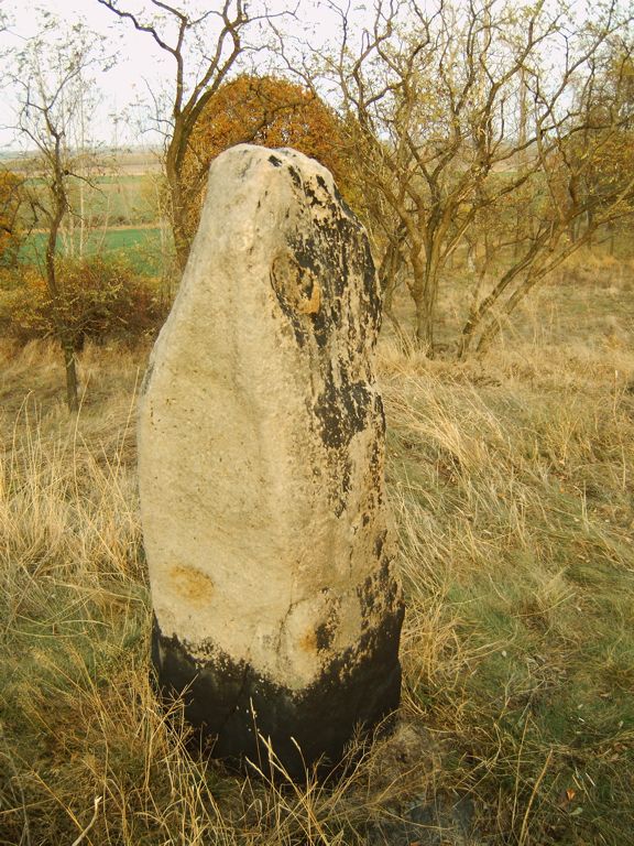 Click for the gallery page to add comments and vote (PID:10349) Menhir von Brachstedt