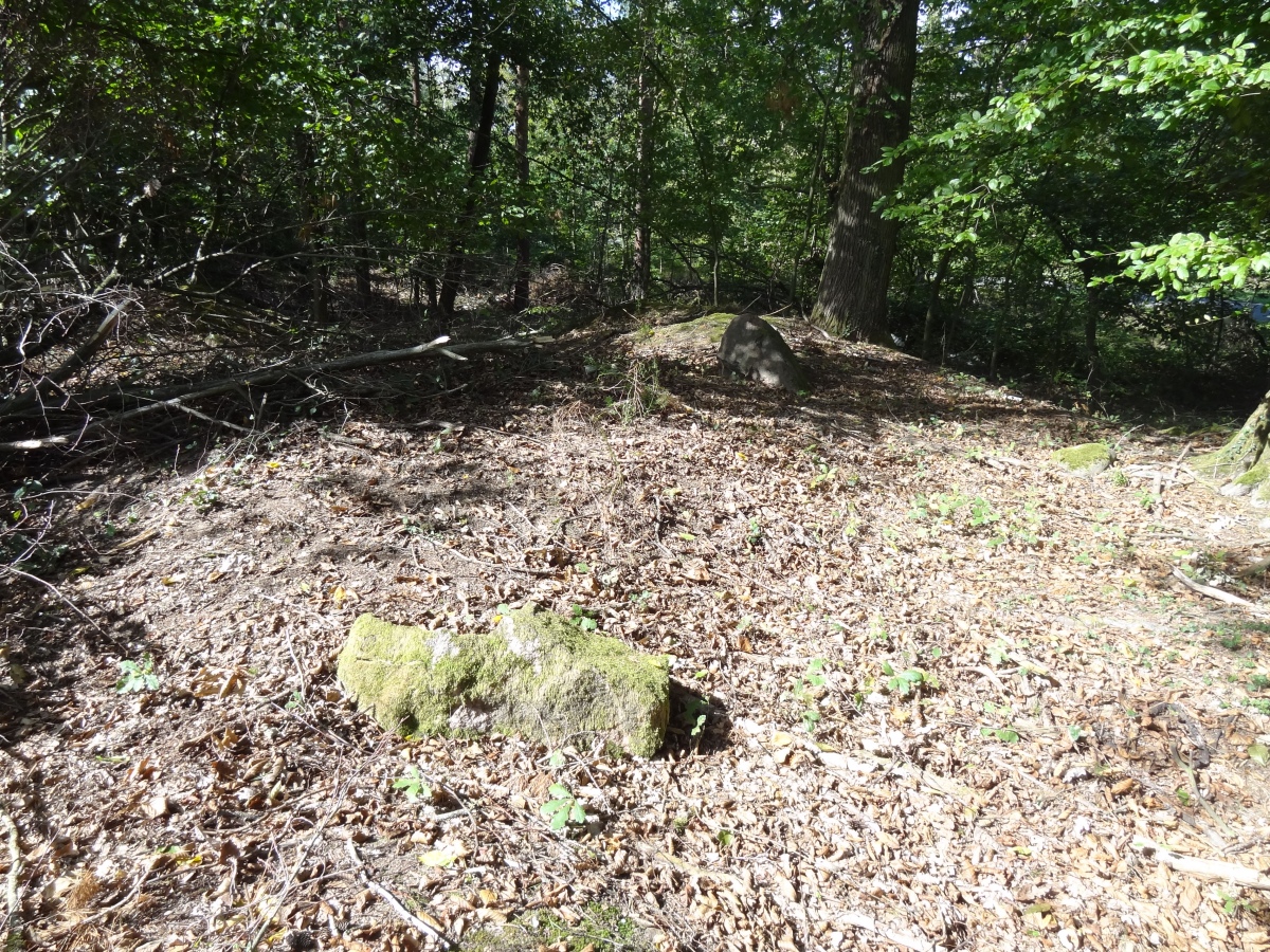 Althaldensleben 28