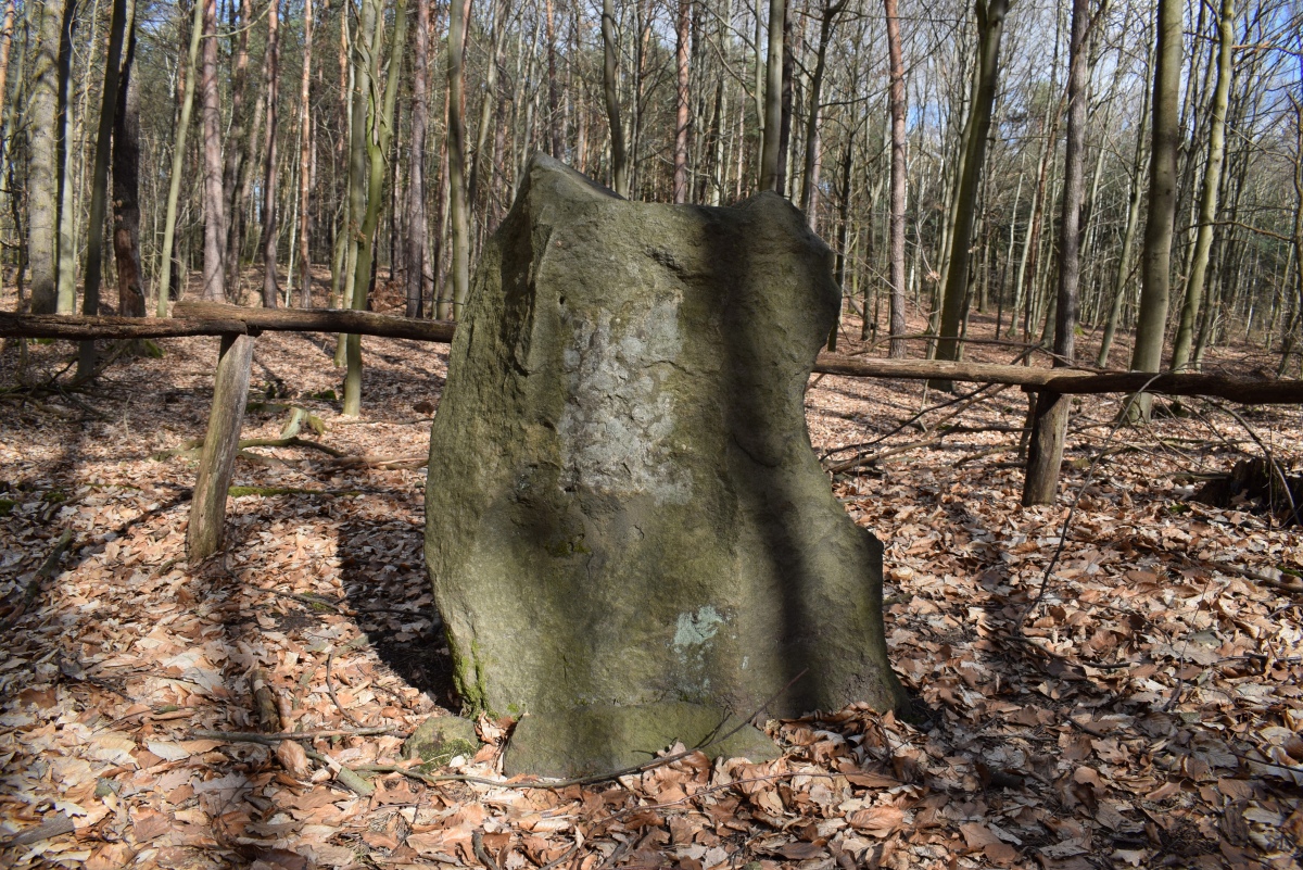 Click for the gallery page to add comments and vote (PID:256408) Thümmlitzwald Monolith I