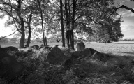 Leetze Steingrab 3