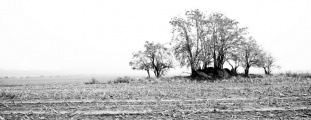 Click for full size image of Schadewohl Steingrab 3 (PID:51667) Schadewohl Steingrab 3