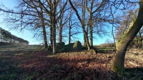 Diesdorf Steingrab 1