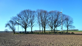 Drebenstedt Langbett