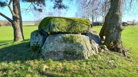 Bornsen Steingrab 2
