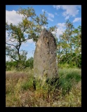 Menhir von Brachstedt