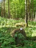 Alvensleben 16