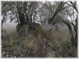 Click for full size image of Schadewohl Steingrab 3 (PID:51574) Schadewohl Steingrab 3