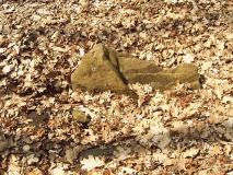 Waldkater Steinkiste