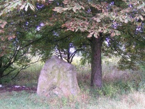 Menhir Blaue Gans