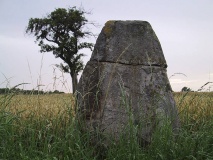 Brotstein
