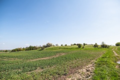 Dachsberg Steingrab