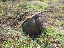 Emden 44