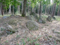 Alvensleben-6