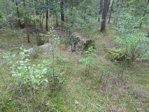 Althaldensleben 19