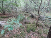 Althaldensleben 26