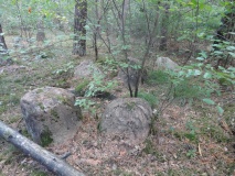 Althaldensleben 26