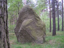 Lenekenstein