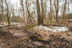 Wallburg Wichmannsdorf