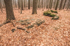 Dolmen Marienborn