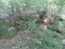 Althaldensleben 24