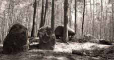 Diesdorf Steingrab 3 - PID:71955
