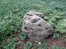 Butterstein Beetzendorf