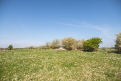 Dachsberg Steingrab