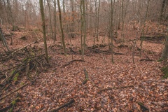 Teufelsgrund Dolmen