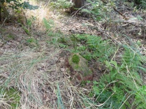 Alvensleben 34