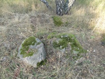 Hundisburg 22