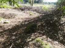 Althaldensleben 28