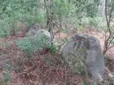 Bretsch Steingrab 3