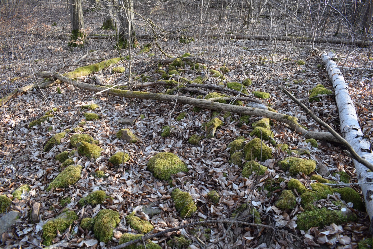 Click for the gallery page to add comments and vote (PID:287424) Nimbschen Hügelgrab 2