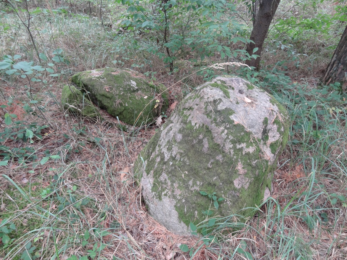 Althaldensleben 11