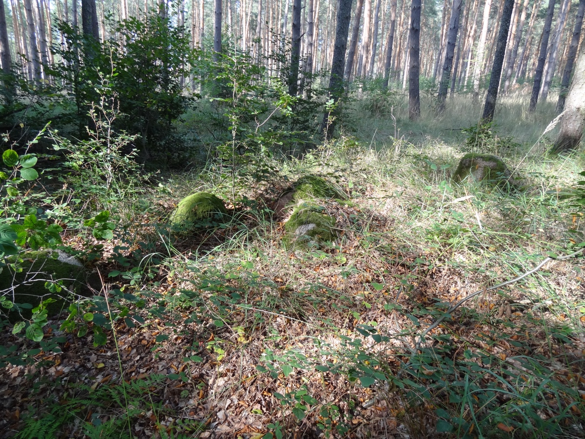 Alvensleben 11