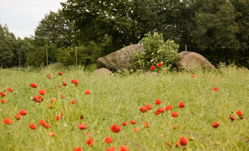 Click for the gallery page to add comments and vote (PID:49715) Gammelby-Eichthal Steingrab