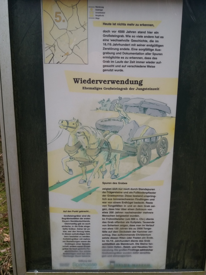 Fischbeker Heide Steingrab [1]