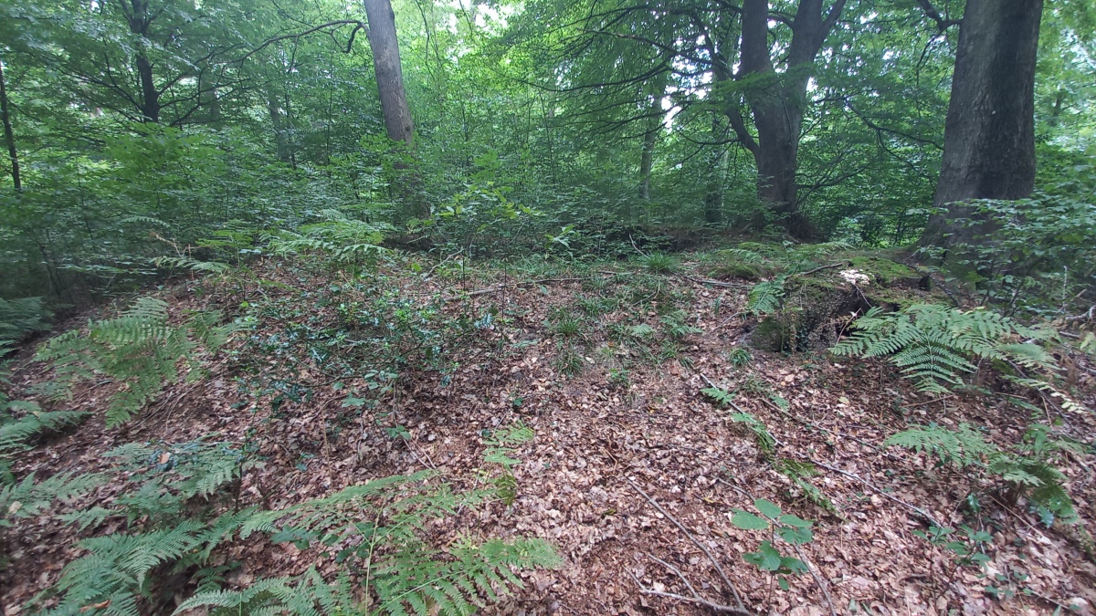 Click for the gallery page to add comments and vote (PID:246657) Albersdorf Huegelgrab (LA55)