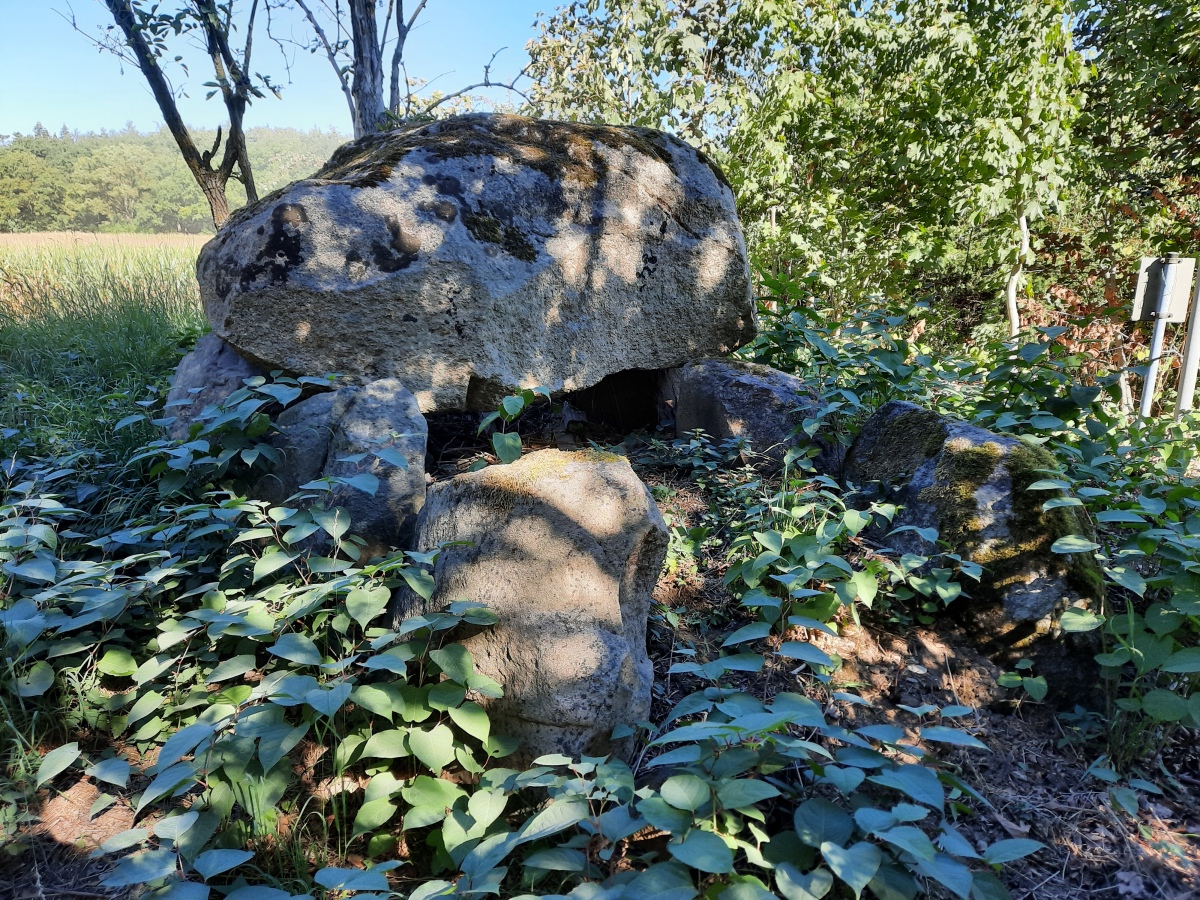 Wildenhorst Steingrab
