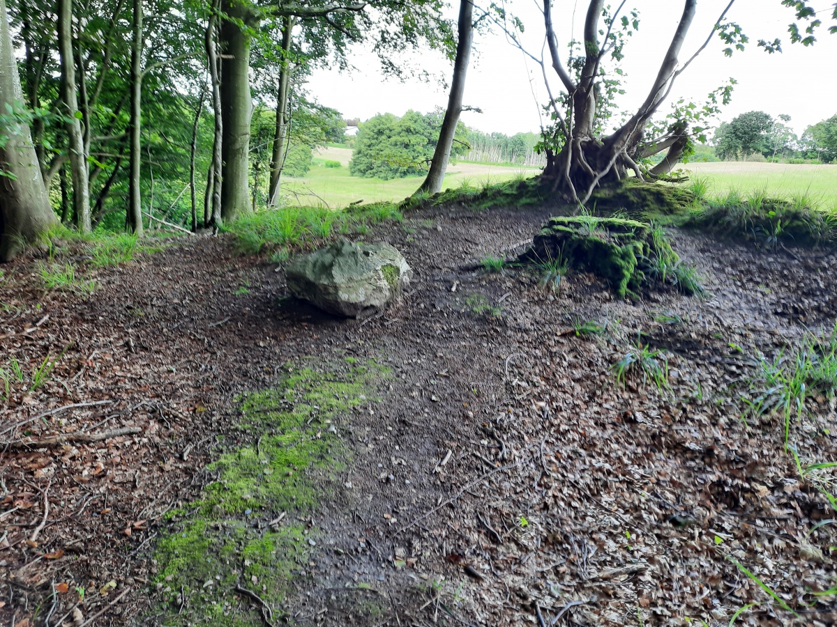 Gluecksburg Dolmen 2